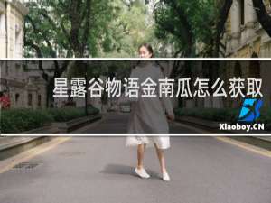 星露谷物语金南瓜怎么获取