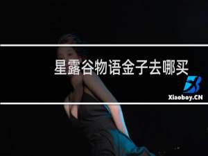 星露谷物语金子去哪买