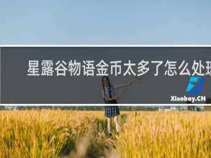 星露谷物语金币太多了怎么处理