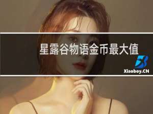 星露谷物语金币最大值