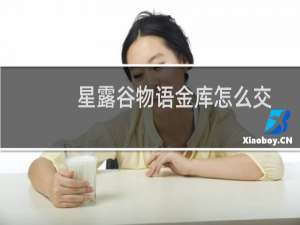 星露谷物语金库怎么交