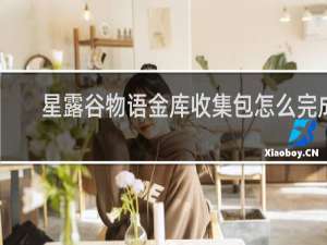 星露谷物语金库收集包怎么完成