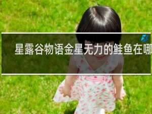 星露谷物语金星无力的鲑鱼在哪里