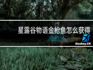 星露谷物语金枪鱼怎么获得