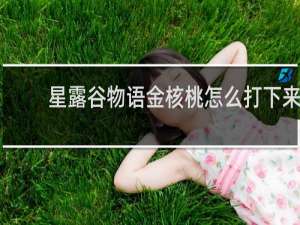 星露谷物语金核桃怎么打下来