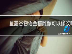 星露谷物语金猫雕像可以修改吗