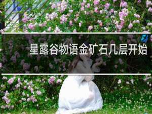 星露谷物语金矿石几层开始
