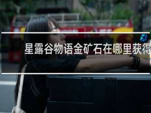 星露谷物语金矿石在哪里获得