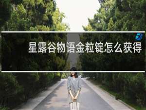 星露谷物语金粒锭怎么获得