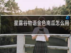 星露谷物语金色南瓜怎么用