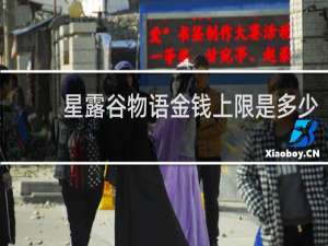 星露谷物语金钱上限是多少