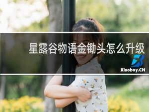 星露谷物语金锄头怎么升级