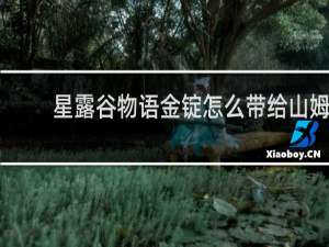 星露谷物语金锭怎么带给山姆