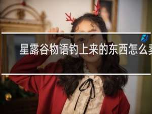 星露谷物语钓上来的东西怎么卖