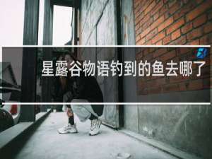 星露谷物语钓到的鱼去哪了