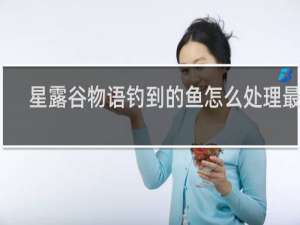 星露谷物语钓到的鱼怎么处理最好