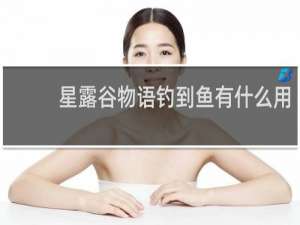 星露谷物语钓到鱼有什么用