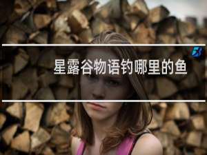 星露谷物语钓哪里的鱼