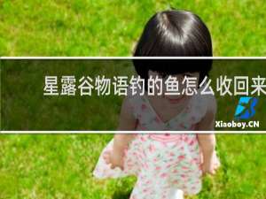 星露谷物语钓的鱼怎么收回来