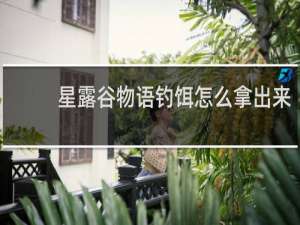 星露谷物语钓饵怎么拿出来