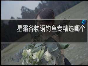 星露谷物语钓鱼专精选哪个