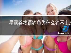 星露谷物语钓鱼为什么钓不上来
