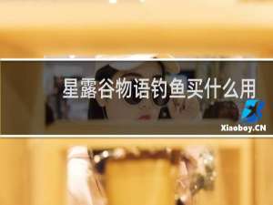 星露谷物语钓鱼买什么用