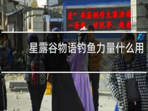 星露谷物语钓鱼力量什么用
