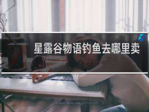 星露谷物语钓鱼去哪里卖