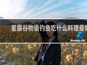 星露谷物语钓鱼吃什么料理最好