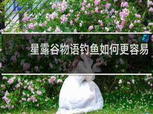 星露谷物语钓鱼如何更容易