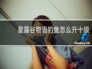 星露谷物语钓鱼怎么升十级