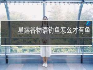 星露谷物语钓鱼怎么才有鱼