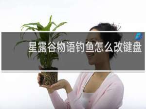 星露谷物语钓鱼怎么改键盘