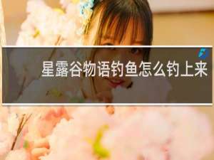 星露谷物语钓鱼怎么钓上来