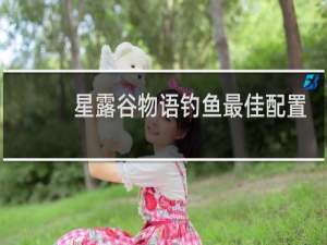 星露谷物语钓鱼最佳配置