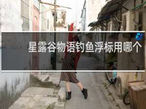 星露谷物语钓鱼浮标用哪个