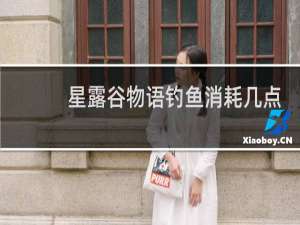 星露谷物语钓鱼消耗几点