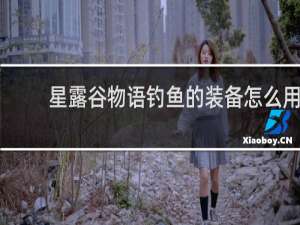 星露谷物语钓鱼的装备怎么用