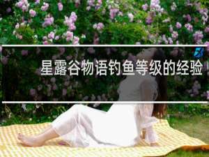 星露谷物语钓鱼等级的经验