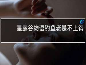 星露谷物语钓鱼老是不上钩