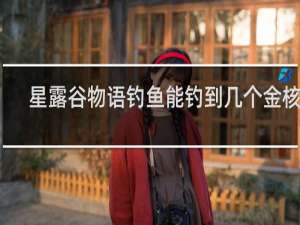 星露谷物语钓鱼能钓到几个金核桃