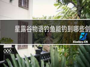 星露谷物语钓鱼能钓到哪些剑