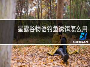 星露谷物语钓鱼诱饵怎么用