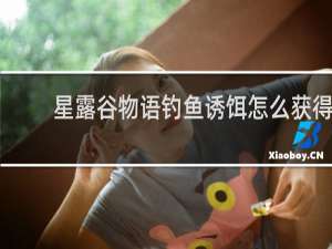 星露谷物语钓鱼诱饵怎么获得