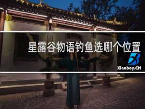 星露谷物语钓鱼选哪个位置
