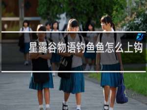 星露谷物语钓鱼鱼怎么上钩