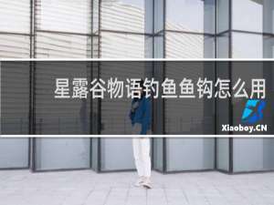 星露谷物语钓鱼鱼钩怎么用