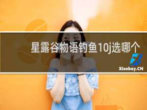 星露谷物语钓鱼10j选哪个