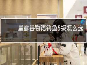 星露谷物语钓鱼5级怎么选